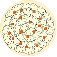 Façonnage tourte 2
