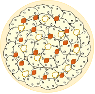 Façonnage tourte 3