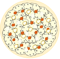 Façonnage tourte 4