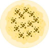 Façonnage galette des rois 4
