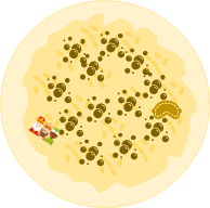 Façonnage galette des rois 5
