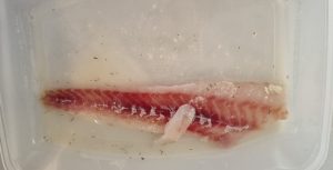 filet-colin-meuniere-faconnage 1