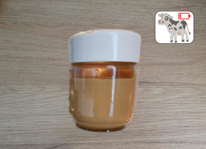 Crème caramel