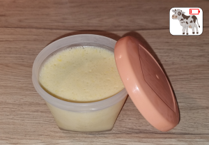 Mousse à l'Orange