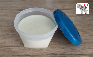 Panna cotta à la Noix de coco