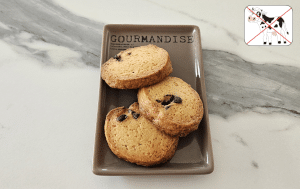 Palets bretons aux pépites de Chocolat noir