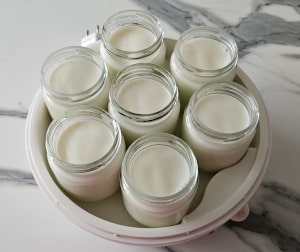 Yaourt nature pauvre en lactose - étape 6