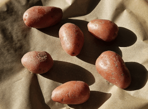 Pomme de terre écrasée - étape 2