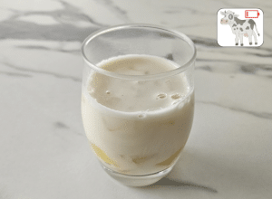 Panacotta sur compotée de Pommes
