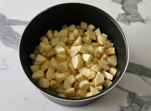 Sorbet aux Pommes - étape 2