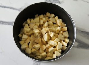 Sorbet aux Pommes - étape 4