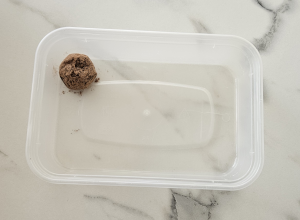 Truffes au Praliné - étape 11