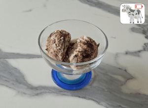 Glace au yaourt Coco et Chocolat noir