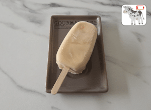 Esquimau glacé au yaourt et melon